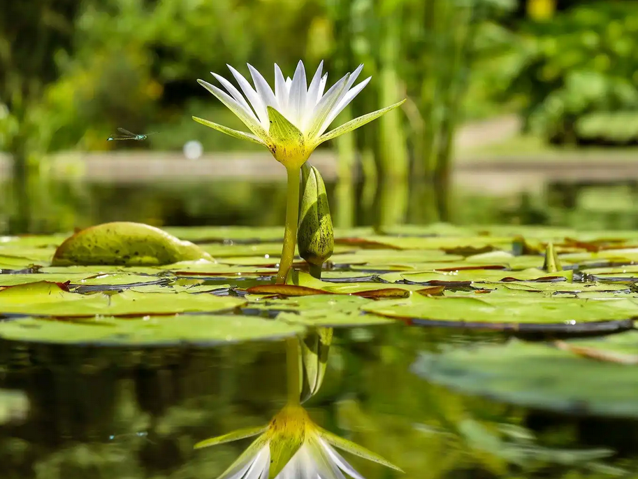 Trauergespräche_Silke Fiehn