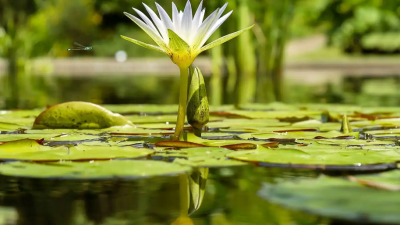 Trauergespräche_Silke Fiehn